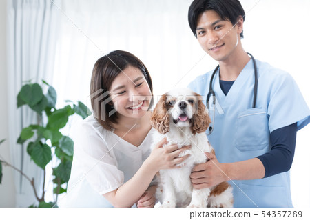 Veterinarian and owner Veterinarian and owner 54357289