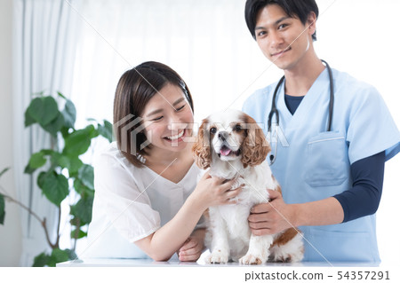 獸醫和老闆 54357291