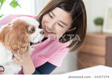 A veterinary doctor A veterinary doctor 54357374