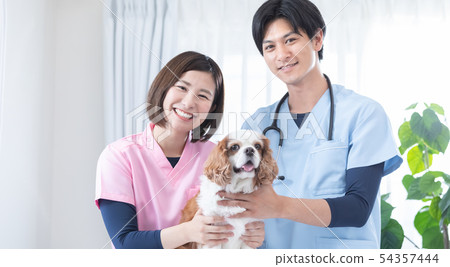 A veterinary doctor 54357444