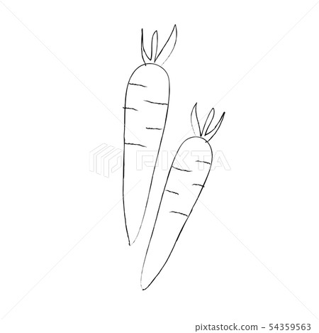 紅蘿蔔寬鬆的單色線藝術例證 紅蘿蔔寬鬆的單色線藝術例證 54359563
