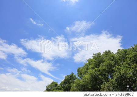 Sky and trees-stock photo Blue sky and clouds _ blue sky and white clouds Sky and trees-stock photo Blue sky and clouds _ blue sky and white clouds 54359903