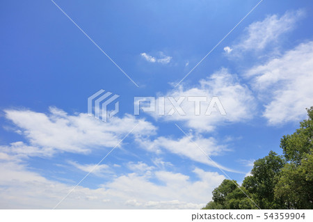 天空和樹庫存照片藍天和雲彩_藍天和白色雲彩 54359904