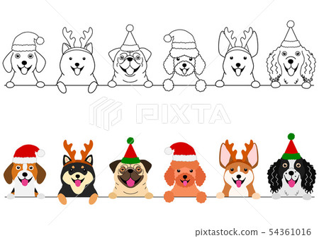 微笑的小狗邊界聖誕節 54361016