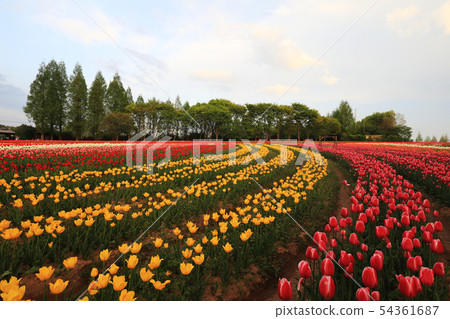 Computer 9516 Computer 9516 54361687