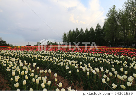 Computer 9523 Computer 9523 54361689