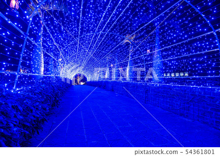 Okinawa Southeast Botanical Gardens light up promenade illumination 54361801
