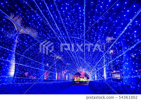 Okinawa Southeast Botanical Gardens light up promenade illumination 54361802