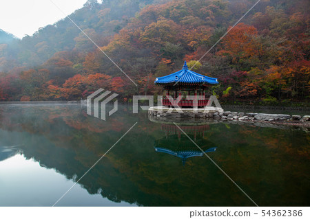 內藏山宇花亭 54362386