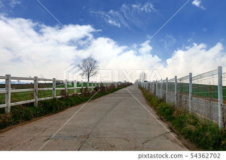 安城棕櫚地 54362702