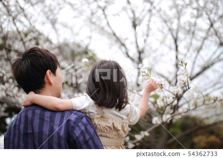 家庭（Ohanami櫻花櫻花擁抱家庭爸爸女兒男性女性複制空間父母子女） 54362733