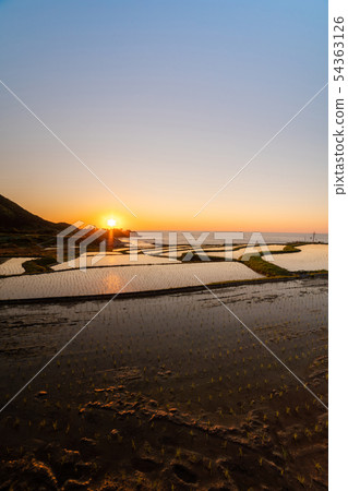 米露台晚上景觀 54363126