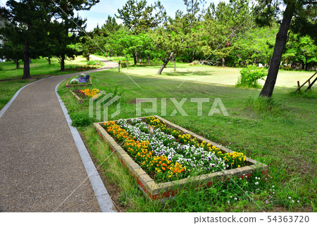 西木濱公園 54363720