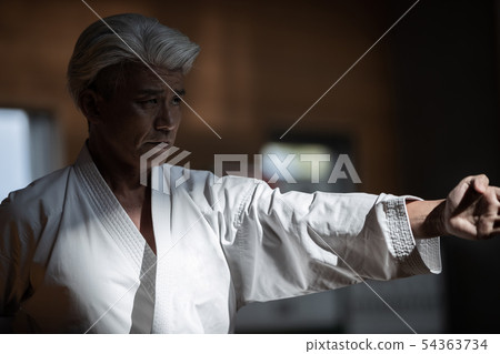 karate, empty hand, male 54363734