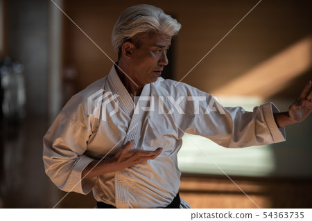 karate, empty hand, male 54363735