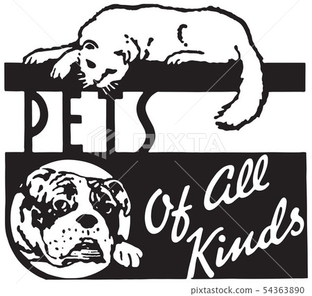 Pets Of All Kinds 54363890