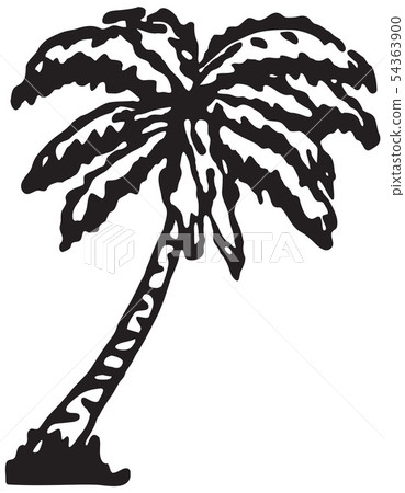 Palm Tree 54363900