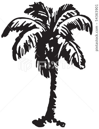 Palm Tree 2 54363901
