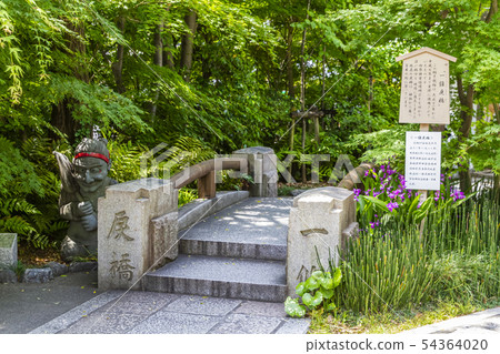 Seimei Shrine Kyoto 54364020