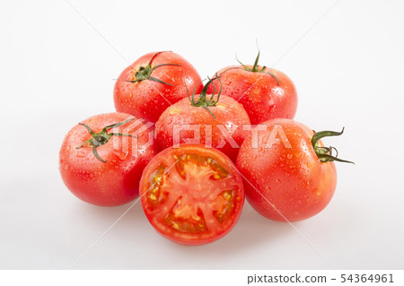 Tomato Tomato 54364961