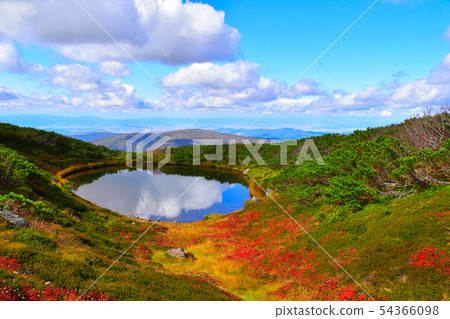 Autumn Asahidaira full moon swamp 54366098