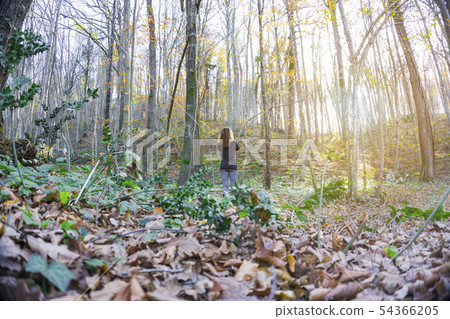 Woman in the forest 54366205