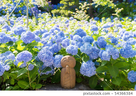 Unification temple of Unshoji 54366384