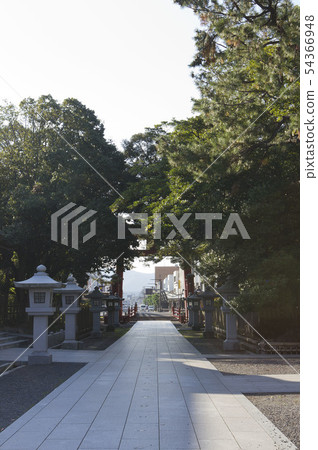 池金 池金 54366948