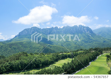 蔚山搖滾 54367857