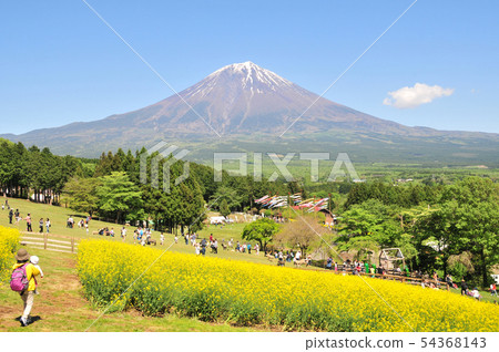Mount Fuji  54368143