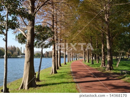 美里公園 美里公園 54368170