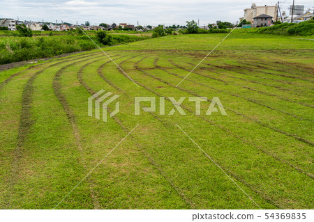 割草機追踪 54369835