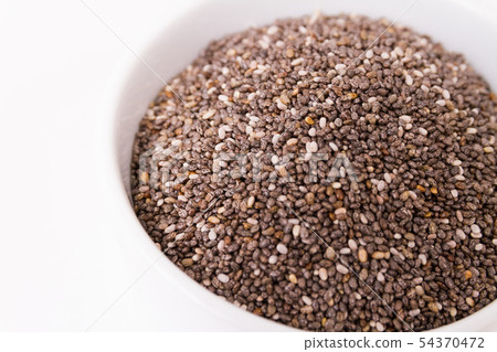 正大種子 正大種子 54370472