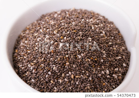 正大種子 正大種子 54370473