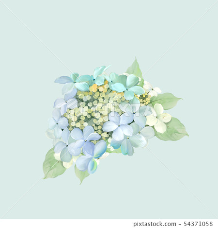 Beautiful watercolor hydrangea 54371058