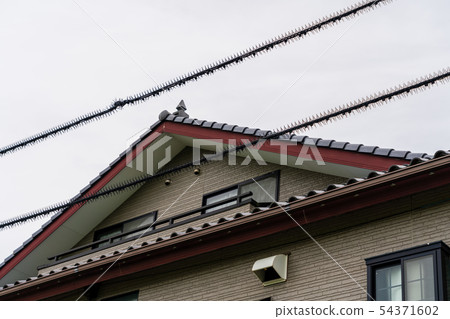 Bird protection Bird protection 54371602