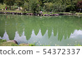scenery 54372337