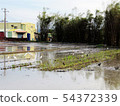 scenery 54372339
