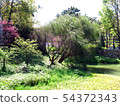 scenery 54372343