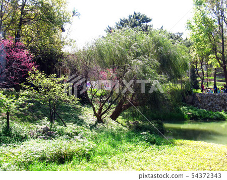 scenery scenery 54372343