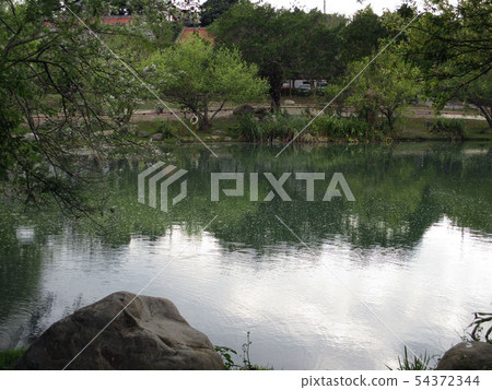 scenery scenery 54372344