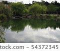 scenery 54372345