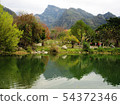 scenery 54372346