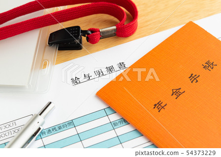 工資表薪金養老金養老金養老金保險費工作養老金 54373229