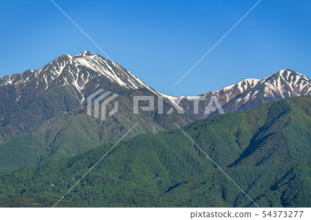 新鮮的綠樹和北阿爾卑斯山安曇野市長野縣 54373277