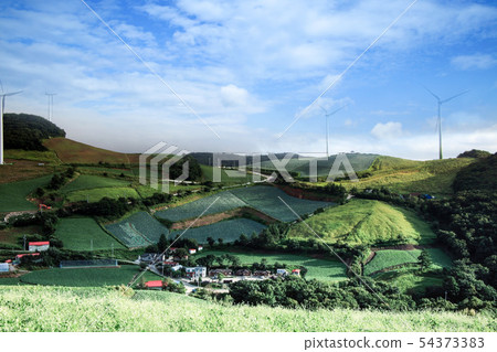 Anvandegi Highland House Chinese Cabbage Field 54373383