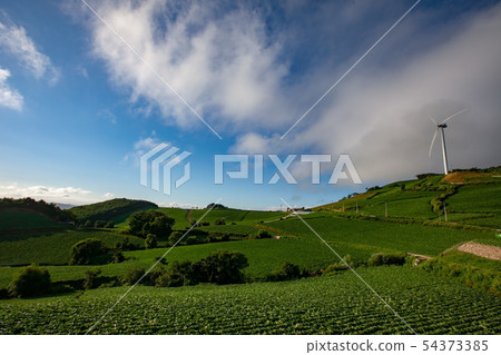Anvandegi Highland House Chinese Cabbage Field 54373385
