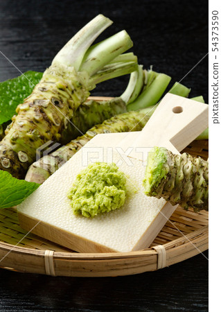 Bookbinding 54373590