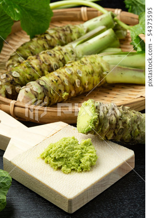 這種芥末 54373595