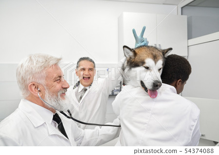 Vets having fun, doctor doing v sign to dog. Vets having fun, doctor doing v sign to dog. 54374088